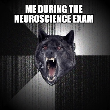 me-during-the-neuroscience-exam