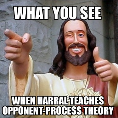 what-you-see-when-harral-teaches-opponent-process-theory