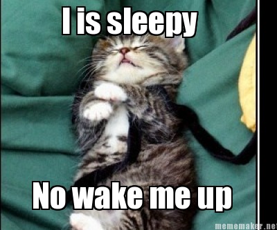 i-is-sleepy-no-wake-me-up