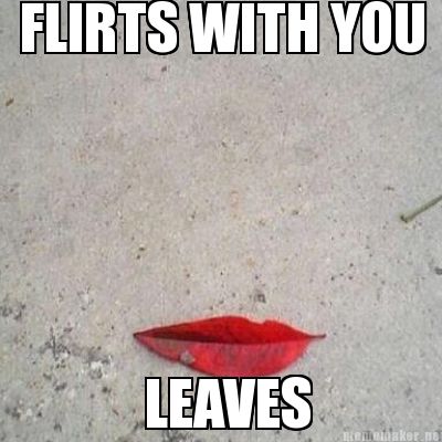 flirts-with-you-leaves
