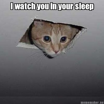 i-watch-you-in-your-sleep