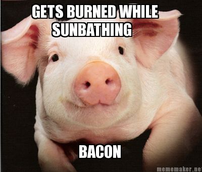 gets-burned-while-bacon-sunbathing