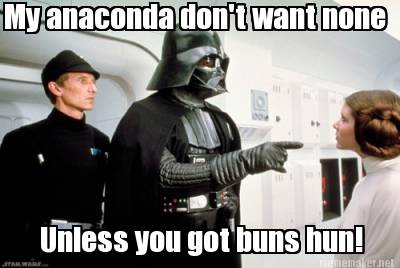 my-anaconda-dont-want-none-unless-you-got-buns-hun6