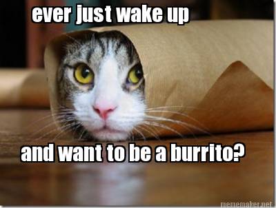 ever-just-wake-up-and-want-to-be-a-burrito
