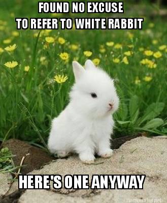 found-no-excuse-to-refer-to-white-rabbit-heres-one-anyway
