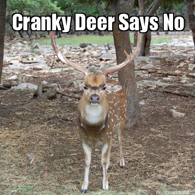 cranky-deer-says-no