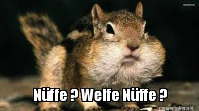 nffe-welfe-nffe-