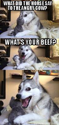 what-did-the-horse-say-to-the-angry-cow-whats-your-beef