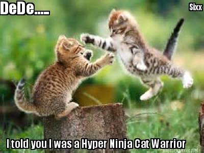 i-told-you-i-was-a-hyper-ninja-cat-warrior-sixx-dede