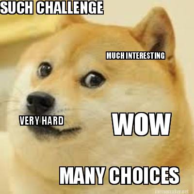 such-challenge-very-hard-much-interesting-many-choices-wow