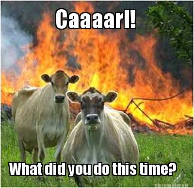 caaaarl-what-did-you-do-this-time