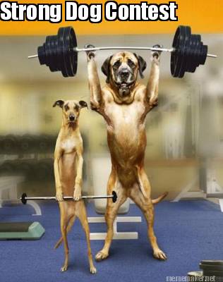 strong-dog-contest