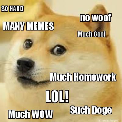 much-wow-such-doge-much-homework-so-hard-much-cool-lol-no-woof-many-memes
