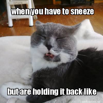 when-you-have-to-sneeze-but-are-holding-it-back-like
