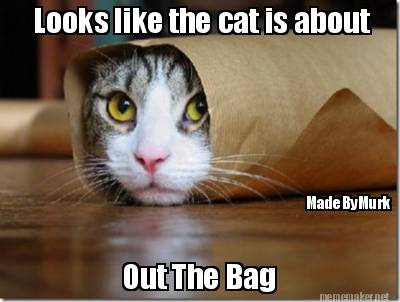 looks-like-the-cat-is-about-out-the-bag-madebymurk