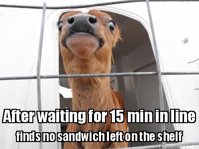 after-waiting-for-15-min-in-line-finds-no-sandwich-left-on-the-shelf