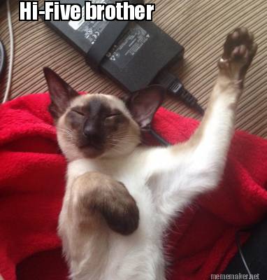 hi-five-brother