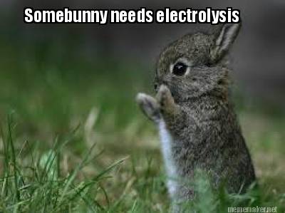 somebunny-needs-electrolysis