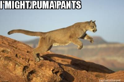im-so-excited-i-might-puma-pants