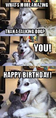 whats-more-amazing-than-a-talking-dog-you-happy-birthday
