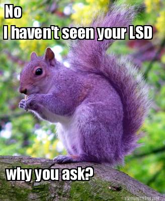 no-i-havent-seen-your-lsd-why-you-ask