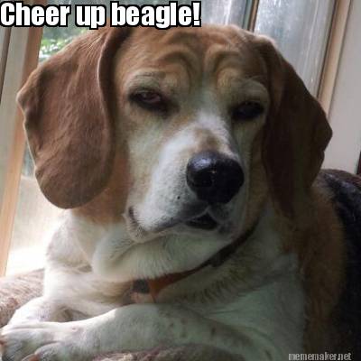 cheer-up-beagle