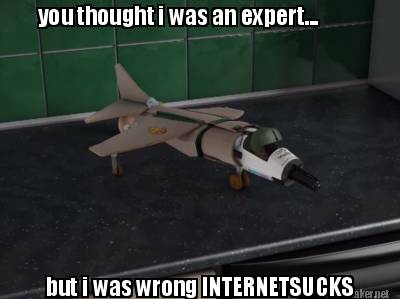 you-thought-i-was-an-expert...-but-i-was-wrong-internetsucks