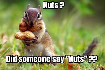 nuts-did-someone-say-nuts-
