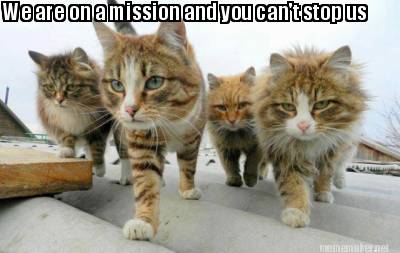 we-are-on-a-mission-and-you-cant-stop-us