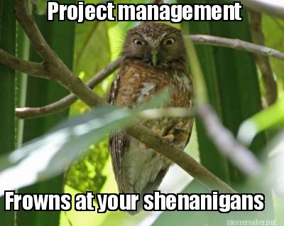 project-management-frowns-at-your-shenanigans