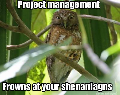 project-management-frowns-at-your-shenaniagns