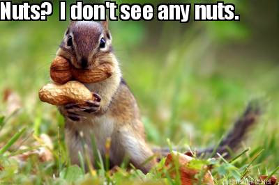 nuts-i-dont-see-any-nuts
