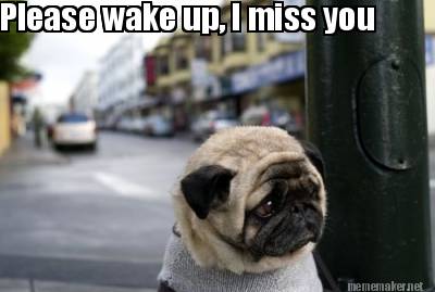 please-wake-up-i-miss-you