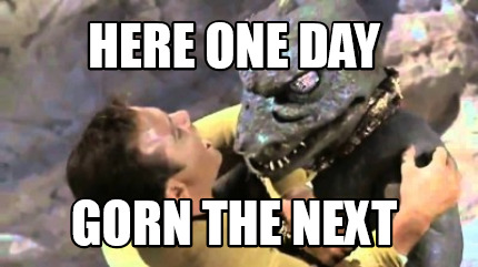 here-one-day-gorn-the-next