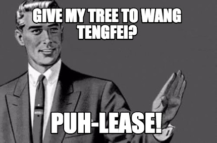 help wang tengfei
