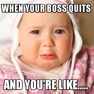 when-your-boss-quits-and-youre-like