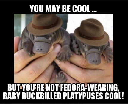 Forest animal humour
