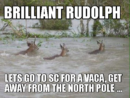 brilliant-rudolph-lets-go-to-sc-for-a-vaca-get-away-from-the-north-pole-