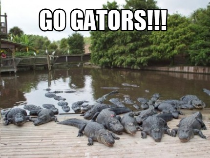 go-gators12