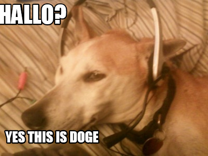 hallo-yes-this-is-doge4