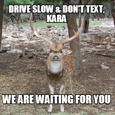 drive-slow-dont-text-kara-we-are-waiting-for-you