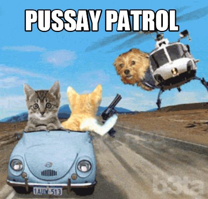 pussay-patrol