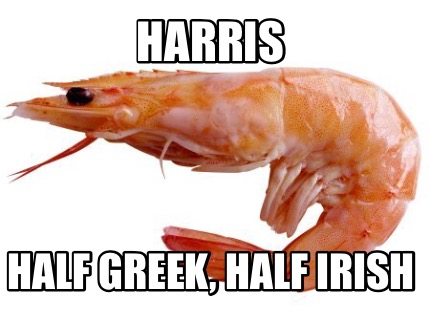harris-half-greek-half-irish