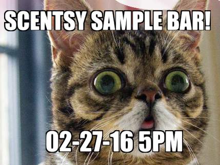 scentsy-sample-bar-02-27-16-5pm8