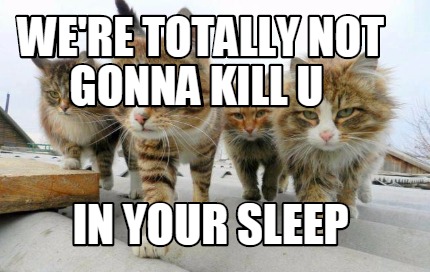 were-totally-not-gonna-kill-u-in-your-sleep