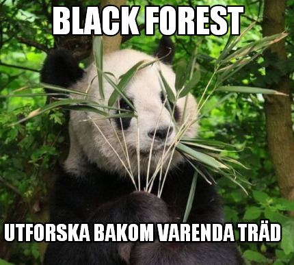 black-forest-utforska-bakom-varenda-trd