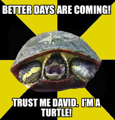 better-days-are-coming-trust-me-david.-im-a-turtle