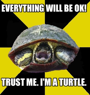 everything-will-be-ok-trust-me.-im-a-turtle