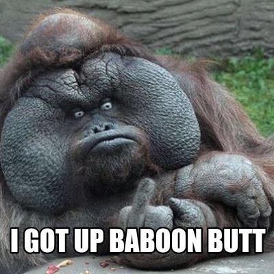 i-got-up-baboon-butt