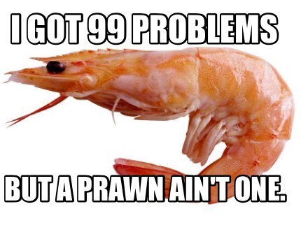 i-got-99-problems-but-a-prawn-aint-one